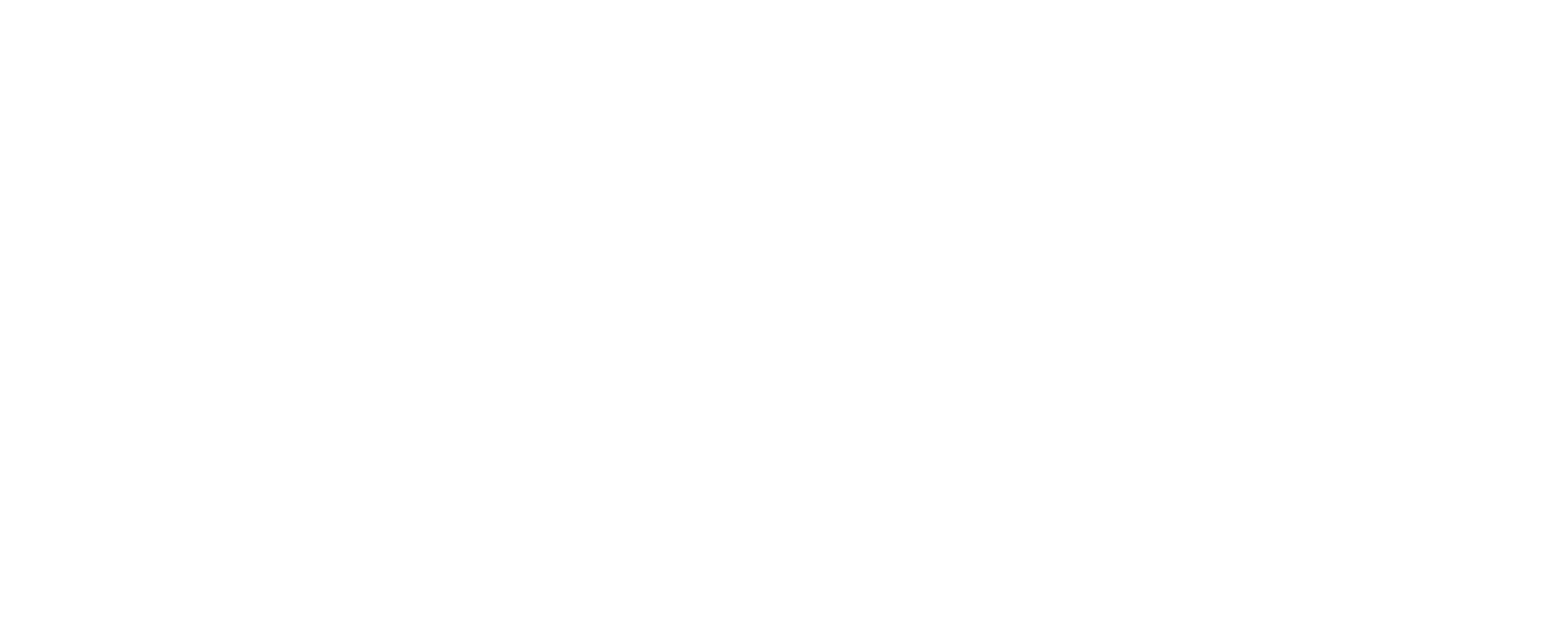 Noor Holding